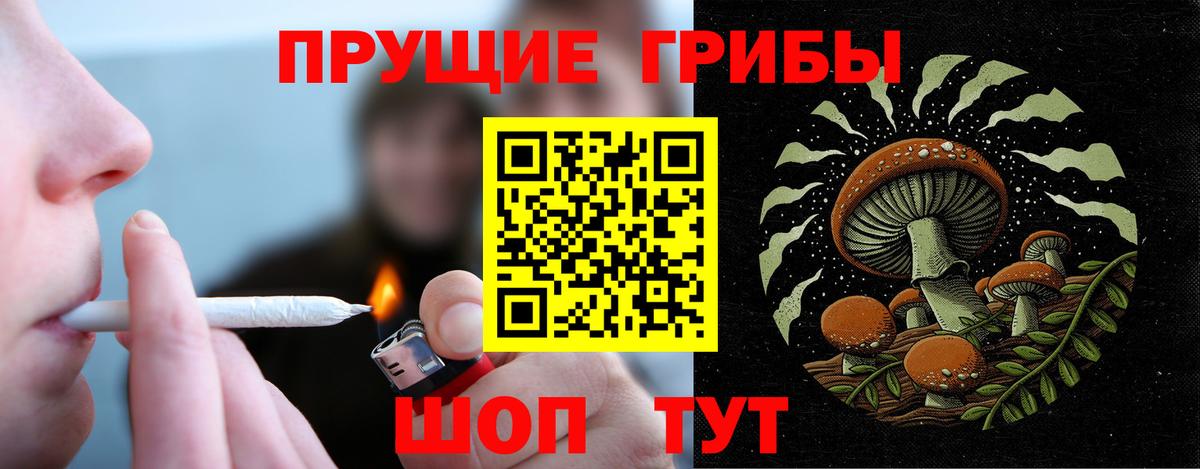 Саров  Галлюциногенные грибы MAGIC MUSHROOMS  Вход с VPN  Галлюциногенные грибы Psilocybe 